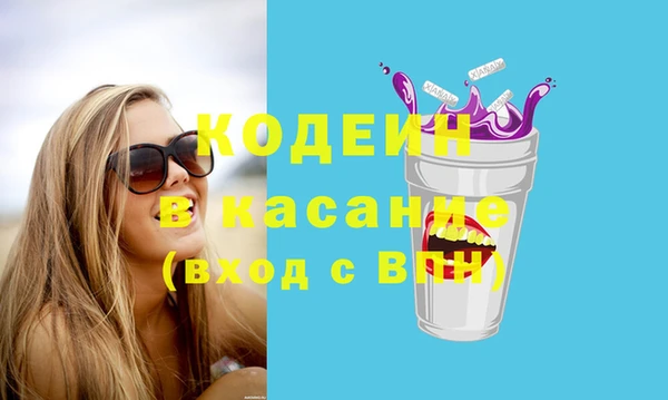 хмурый Белокуриха