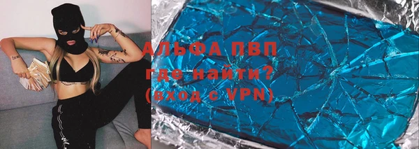 прущие крисы Тында