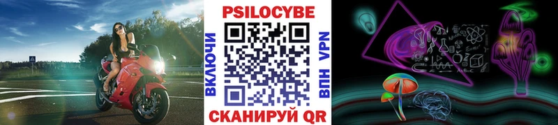 Псилоцибиновые грибы Psilocybe  хочу   Миньяр 